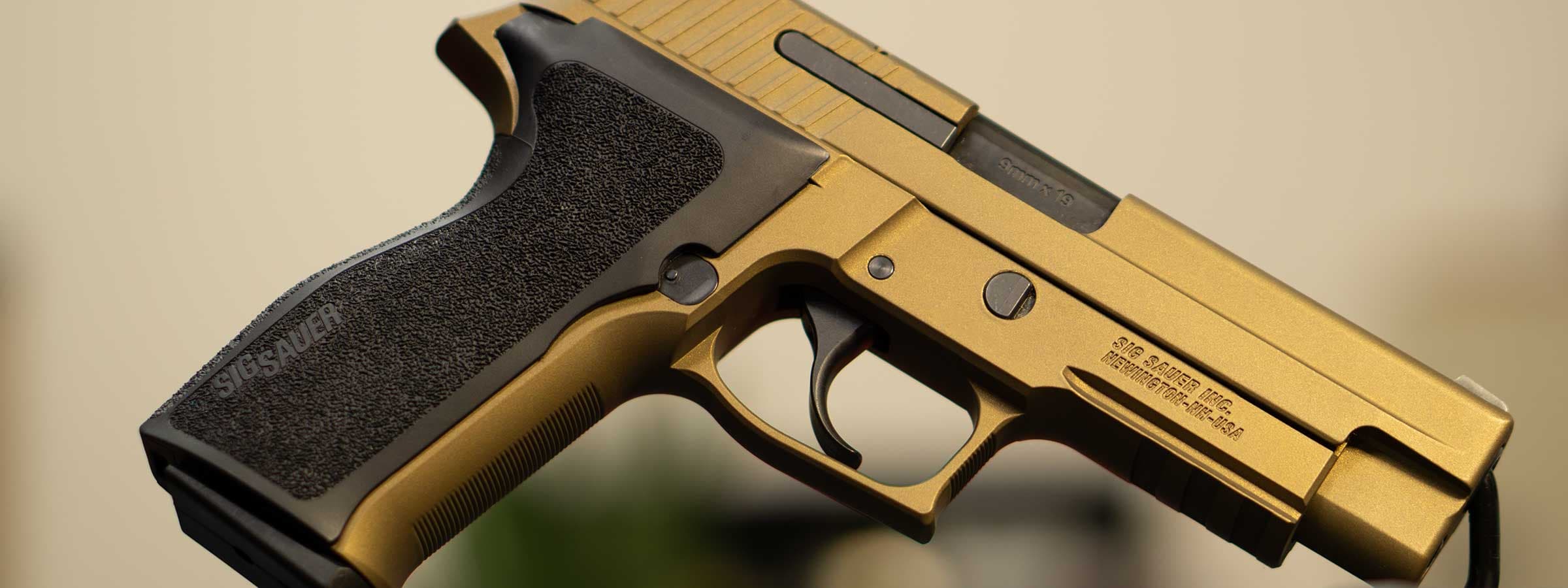Sig Saur Sig Cerakote